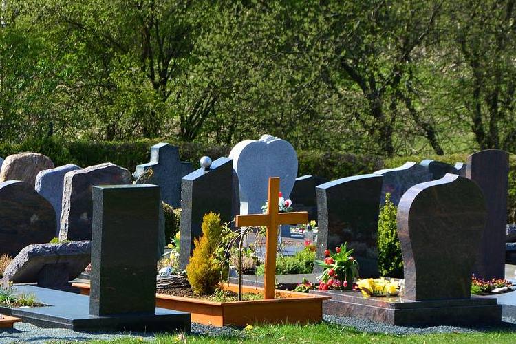 Tombstones made in assorted shapes and materials in grassy graveyard beside trees